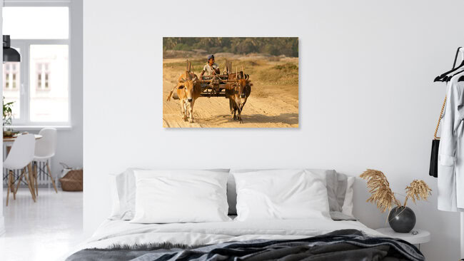 Bullock Cart Boy, Myanmar – wall art by Marc Rasmus as Poster or Acrylic Glass Print