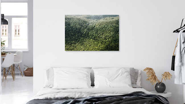 Rainforest II, Indonesia – wall art by Jonas Bach as Poster or Acrylic Glass Print