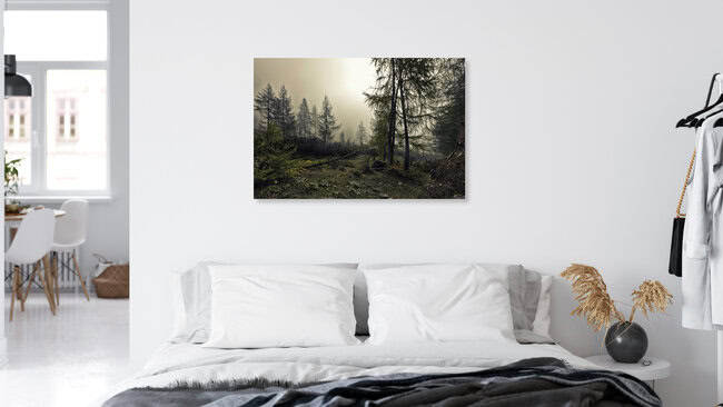 A mystical forest with fog and shining behind trees, Österreich – Fotokunst von Markus Schieder als Poster oder Acrylglasbild