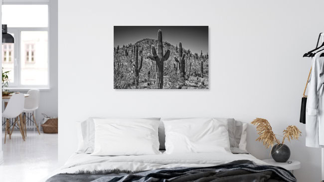 Arizona Landscape black & white, United States – wall art by Melanie Viola as Poster or Acrylic Glass Print
