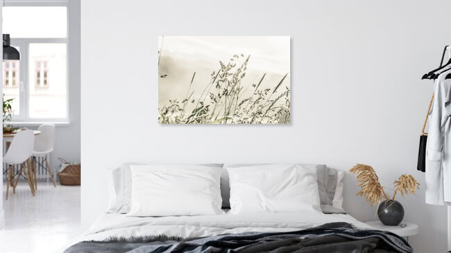 morning dew, Austria – wall art by Philipp Langebner as Poster or Acrylic Glass Print