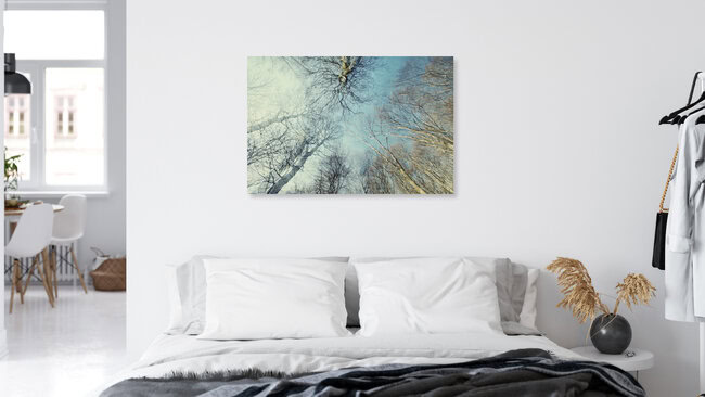Winterlicher blauer Himmel im Teutoburger Wald, Deutschland – Fotokunst von Nadja Jacke als Poster oder Acrylglasbild