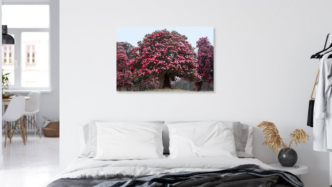 Lali Guran, Nepal – wall art by Jørgen Mikkelsen as Poster or Acrylic Glass Print