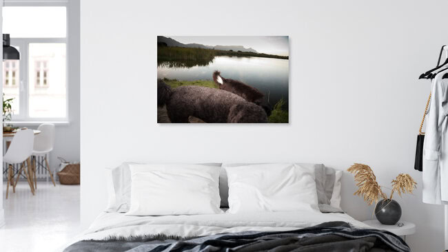 Friends, South Africa – wall art by Jac Kritzinger as Poster or Acrylic Glass Print