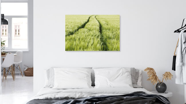Getreidefeld, Deutschland – Fotokunst von Robert Vogt als Poster oder Acrylglasbild
