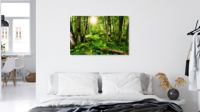 Deutscher Urwald, Deutschland – Fotokunst von Thomas Herzog als Poster oder Acrylglasbild