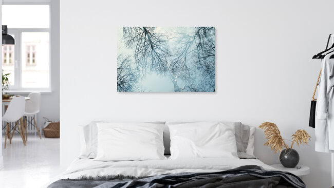 Baumkronen und winterlicher blauer Himmel, Deutschland – Fotokunst von Nadja Jacke als Poster oder Acrylglasbild