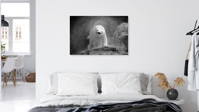 polar bear, Kanada – Fotokunst von Nicolas De Vaulx als Poster oder Acrylglasbild
