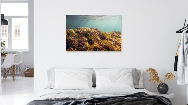 Unterwasser-Landschaft im Sonnenlicht, Spanien – Fotokunst von Nadja Jacke als Poster oder Acrylglasbild