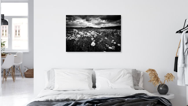 Poppy Seed, Germany – wall art by Oliver Henze as Poster or Acrylic Glass Print