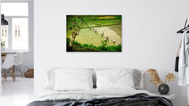 Feldarbeit, Vietnam – Fotokunst von Thomas Junklewitz als Poster oder Acrylglasbild