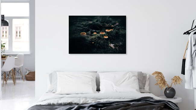Mushrooms in a moody forest Prt. 3, Germany – wall art by Steven Ritzer as Poster or Acrylic Glass Print