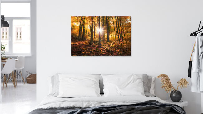 Goldener Herbst im Wald, Deutschland – Fotokunst von Oliver Henze als Poster oder Acrylglasbild