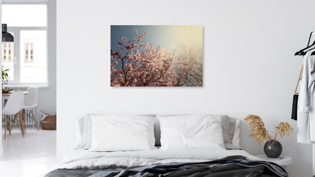 Baum voller Kirschblüten im strahlenden Sonnenschein, Deutschland – Fotokunst von Nadja Jacke als Poster oder Acrylglasbild