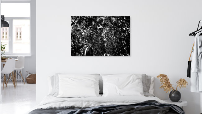 Untitled, France – wall art by Fabian Brennecke as Poster or Acrylic Glass Print