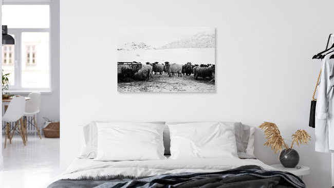 Best friends on Lofoten, Norway – wall art by Victoria Knobloch as Poster or Acrylic Glass Print