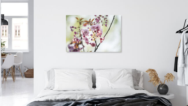 Japanese blossom cherry blooming in the sunlight, Germany – wall art by Nadja Jacke as Poster or Acrylic Glass Print