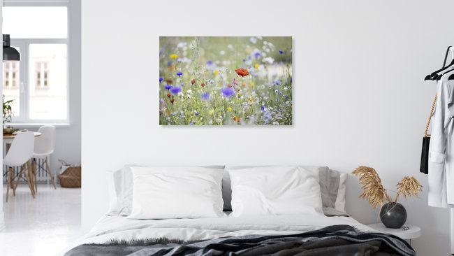 Summer flower meadow with wildflowers and poppy, Germany – wall art by Nadja Jacke as Poster or Acrylic Glass Print