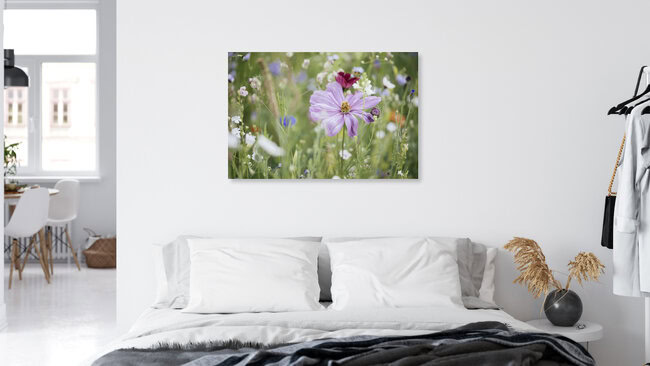 Sommerblumenwiese mit Wildblumen, Deutschland – Fotokunst von Nadja Jacke als Poster oder Acrylglasbild