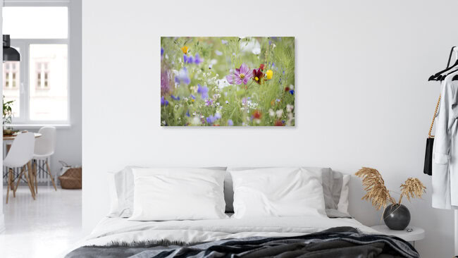 Sommerblumenwiese mit Wildblumen, Deutschland – Fotokunst von Nadja Jacke als Poster oder Acrylglasbild
