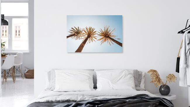 Unter Palmen, Portugal – Fotokunst von Andi Weiland als Poster oder Acrylglasbild