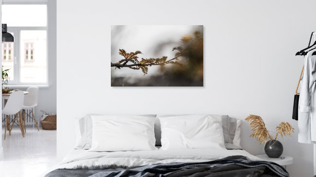 Mountain ash II, Norwegen – Fotokunst von Sebastian Worm als Poster oder Acrylglasbild