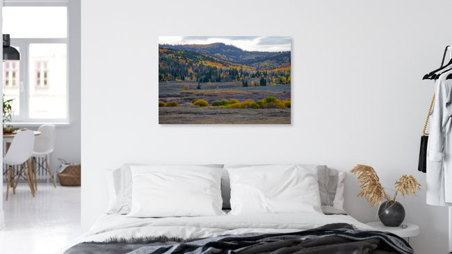 Autumn colours of Colorado, United States – wall art by Martin Rau as Poster or Acrylic Glass Print