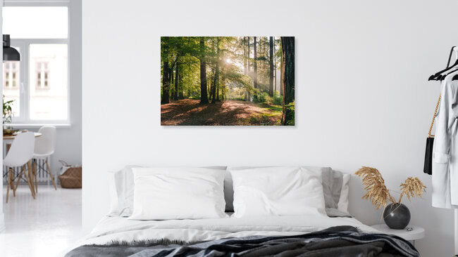Stanley Park // Vancouver, Canada, Canada – wall art by Manuel Gros as Poster or Acrylic Glass Print