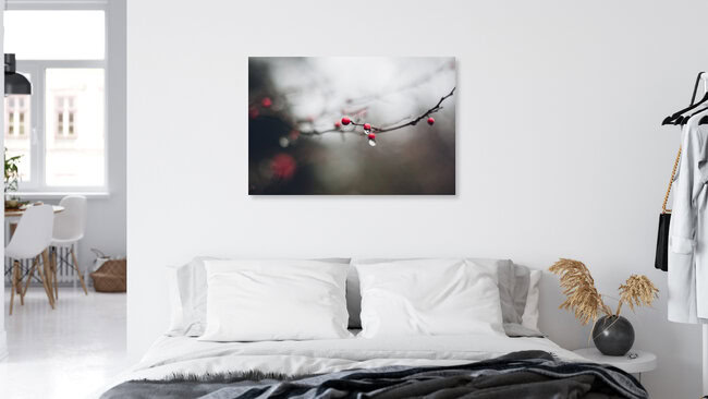 rote Beeren am Zweig im Winter mit Wassertropfen, Deutschland – Fotokunst von Nadja Jacke als Poster oder Acrylglasbild