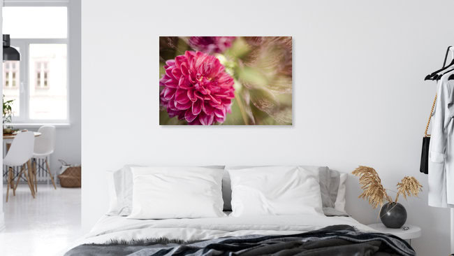 Doppelte Dahlienblüte, Deutschland – Fotokunst von Nadja Jacke als Poster oder Acrylglasbild