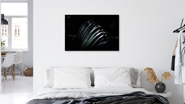 palmwedel 2, Südafrika – Fotokunst von Friederike Lenz als Poster oder Acrylglasbild