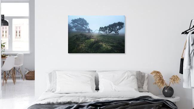 Madeira Fanal Cloud Forest with laurel Trees, Portugal – wall art by Jean Claude Castor as Poster or Acrylic Glass Print