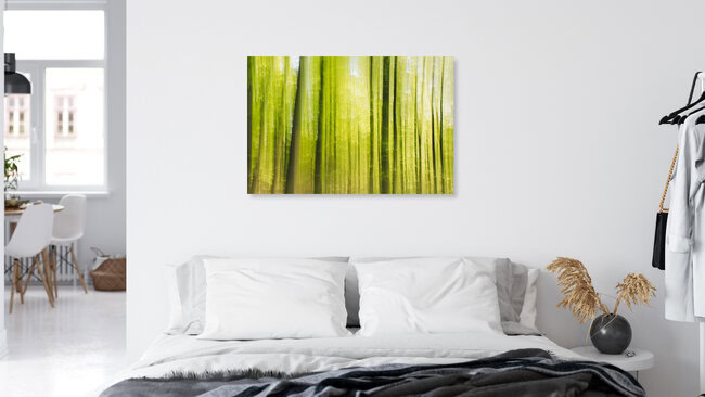 Frühling im Wald verwischt, Deutschland – Fotokunst von Nadja Jacke als Poster oder Acrylglasbild