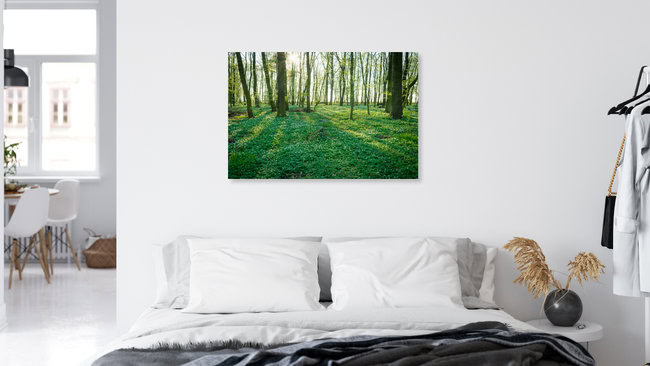 Frühling im Wald, Deutschland – Fotokunst von Martin Wasilewski als Poster oder Acrylglasbild
