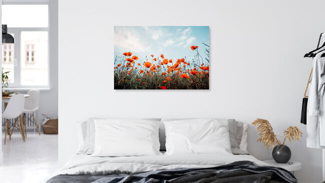 Poppy field and blue sky, Germany – wall art by Oliver Henze as Poster or Acrylic Glass Print
