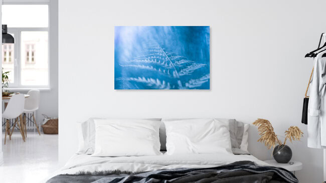 Blue fern, Deutschland – Fotokunst von Sebastian Worm als Poster oder Acrylglasbild