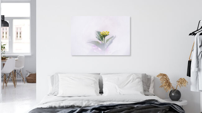 Hortensien, Deutschland – Fotokunst von Nadja Jacke als Poster oder Acrylglasbild