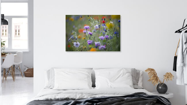 Summer flower meadow with cornflowers, Germany – wall art by Nadja Jacke as Poster or Acrylic Glass Print