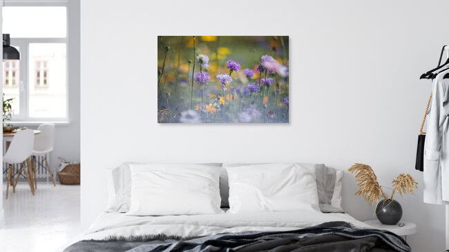 Blumenwiesen aus Wildblumenmischungen, Deutschland – Fotokunst von Nadja Jacke als Poster oder Acrylglasbild