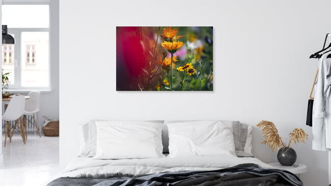 Blumenwiesen aus Wildblumenmischungen, Deutschland – Fotokunst von Nadja Jacke als Poster oder Acrylglasbild