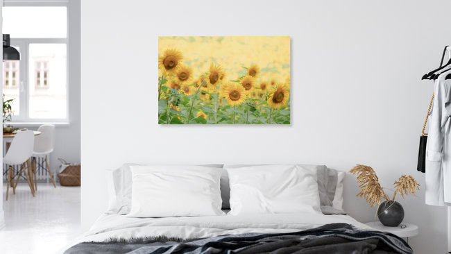 Face to the Sun, Vereinigte Staaten – Fotokunst von Courtney Crane als Poster oder Acrylglasbild