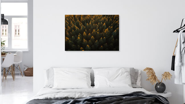 Trees from above, Germany – wall art by Lina Jakobi as Poster or Acrylic Glass Print