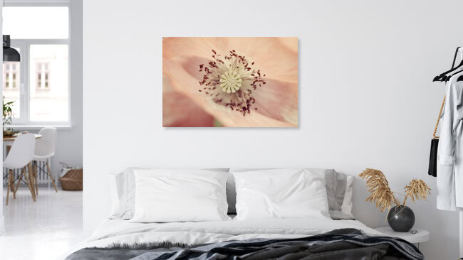 silk poppies, Germany – wall art by Nadja Jacke as Poster or Acrylic Glass Print