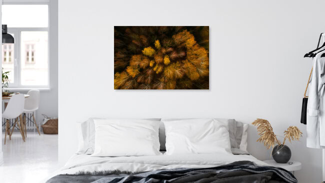 Autumn forest, Litauen – Fotokunst von Giedra Bartas als Poster oder Acrylglasbild