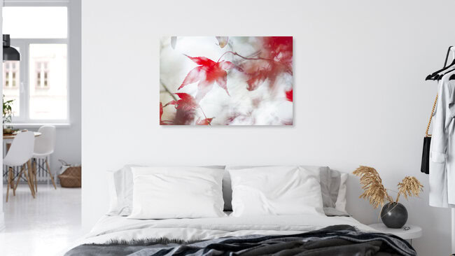 Dancing leaves, Switzerland – wall art by Thomas Staubli as Poster or Acrylic Glass Print