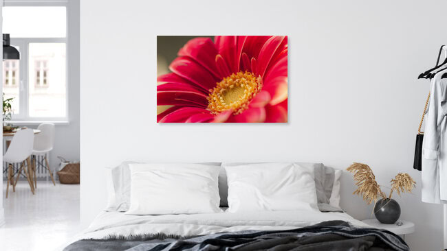 Gerbera, Deutschland – Fotokunst von Nadja Jacke als Poster oder Acrylglasbild