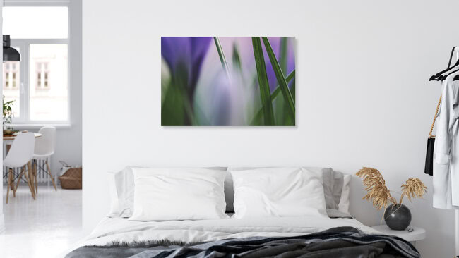 Grashalme, Deutschland – Fotokunst von Nadja Jacke als Poster oder Acrylglasbild