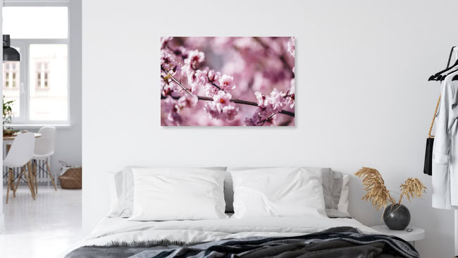 Kirschblüten in der Frühlingssonne, Deutschland – Fotokunst von Nadja Jacke als Poster oder Acrylglasbild