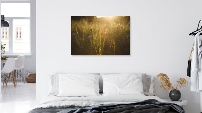 Cornflower and poppy at sunset, Germany – wall art by Nadja Jacke as Poster or Acrylic Glass Print