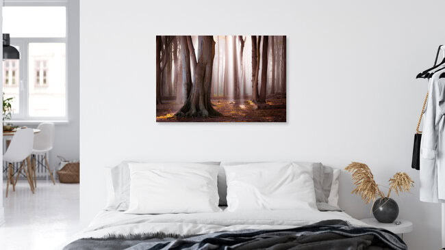 Light in the Forest, Germany – wall art by Martin Wasilewski as Poster or Acrylic Glass Print